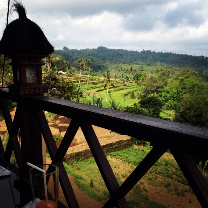 First meal in Bali, overlooking rice terraces